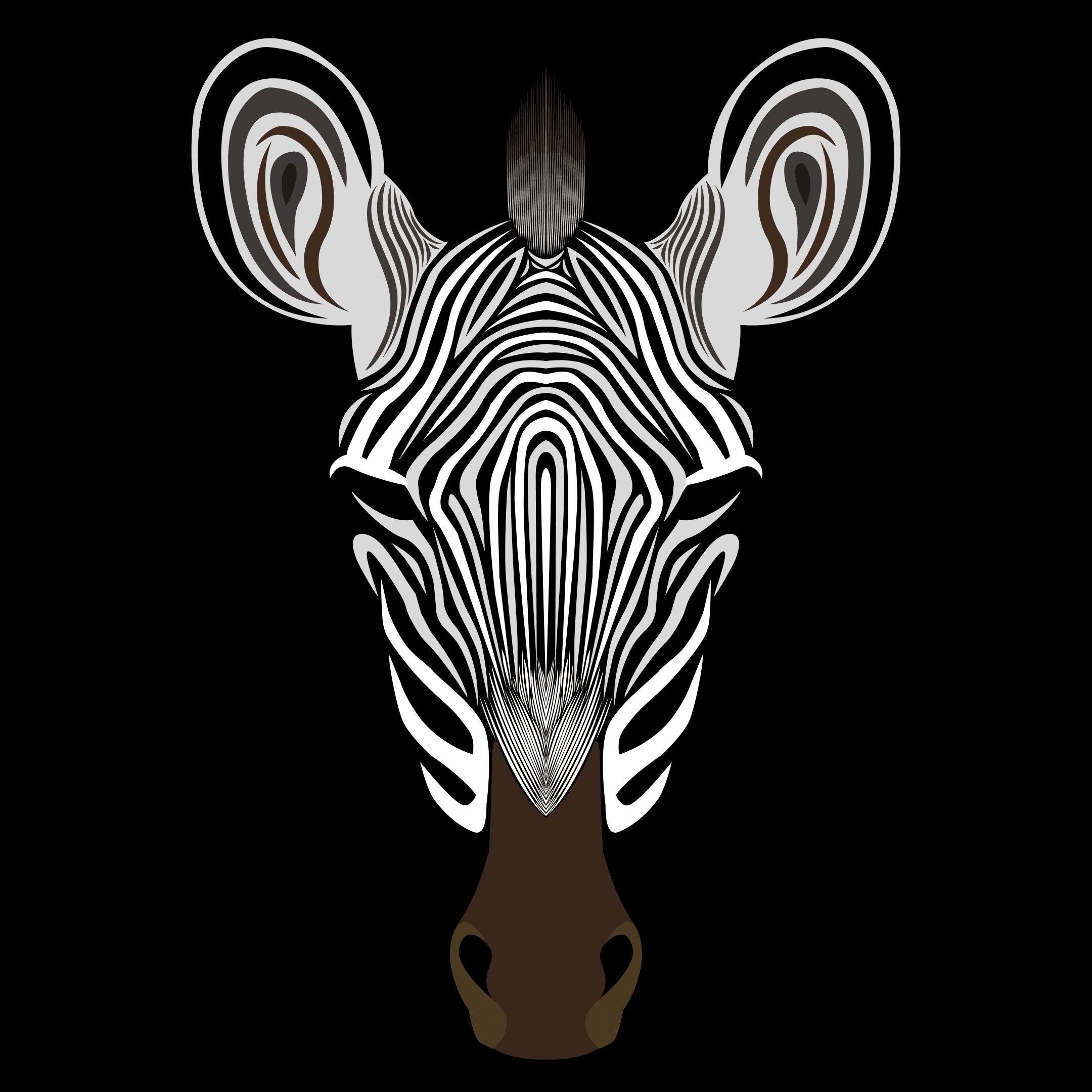 Grévy's Zebra - The Regal Survivor