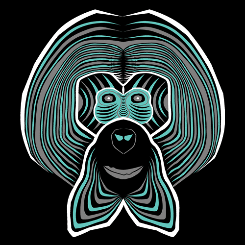 Orangutan - Human of the Forest